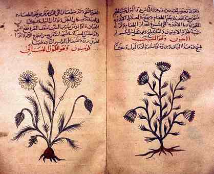 Portrait or historical illustration of Ibn Bajjah