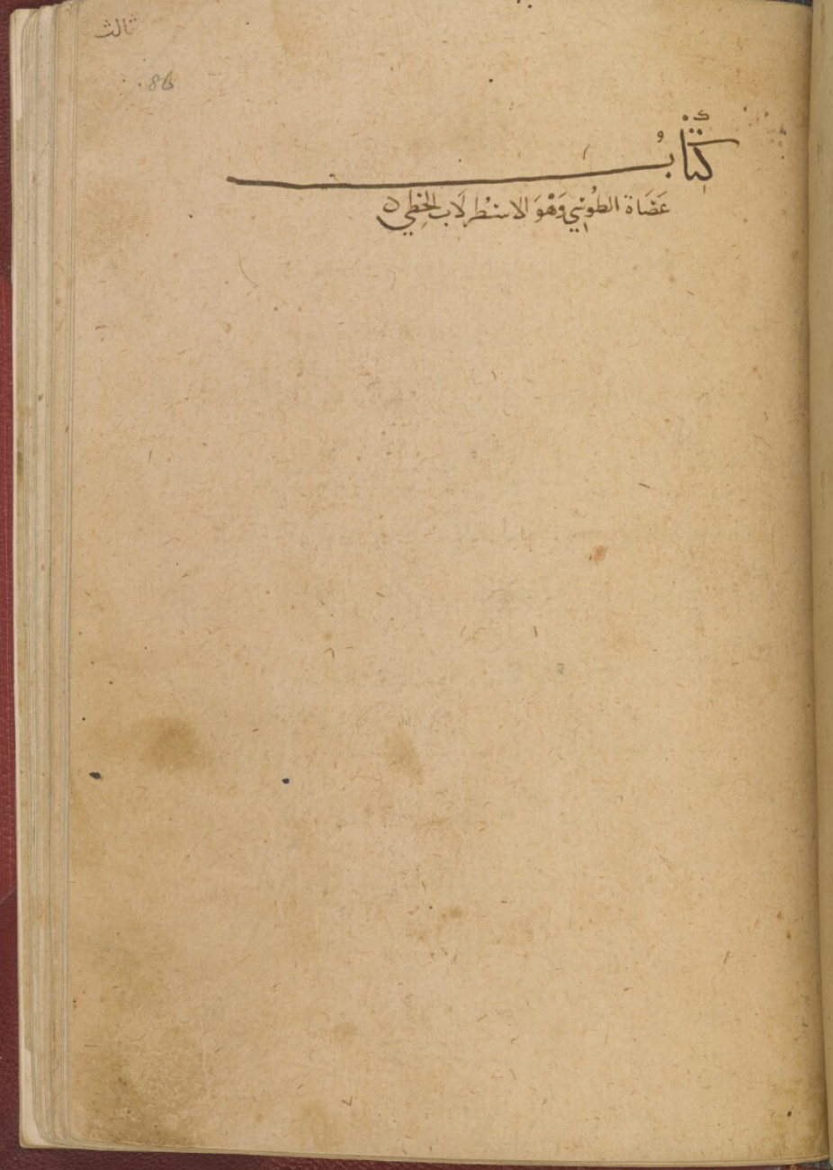 Portrait or historical illustration of Sharaf al-Din al-Tusi